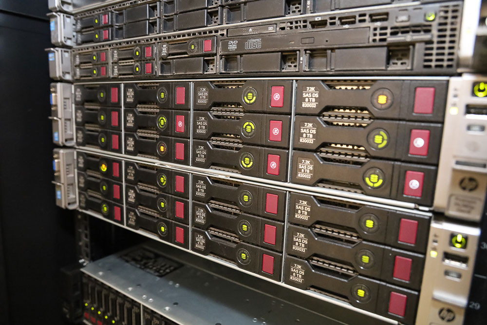 Análisis bioinformático integral